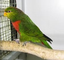 Foto 6